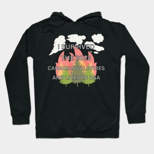 I Survived Canadian Wildfires in USA Hoodie